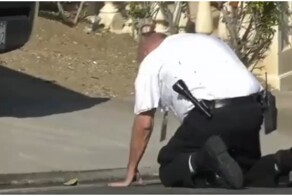 Нападение агрессивных пчёл на полицейского в США