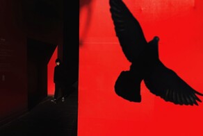 25 талантливых фотографов, которые мастерски освоили работу с тенью