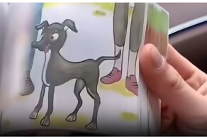 Необычное предложение руки и сердца