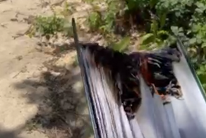 «Я это делал с целью разжигания религиозной розни»: в Волгограде силовики задержали доставщика еды за сожжение Корана