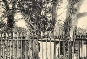 Захоронение Энн Гримстон, ставшее символом существования божественных сил