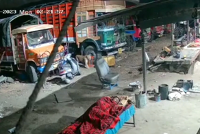 Леопард украл собаку и попал на запись камеры наблюдения