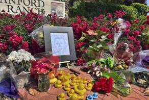 В&nbsp;США девушка сбила мужчину, который помог уткам перейти дорогу