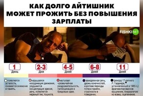 Всё об IT: баги, код, два монитора
