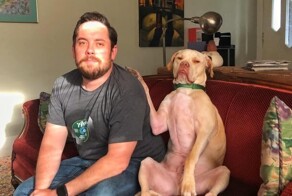 17 изображений, доказывающих, что животные те ещё ревнивцы