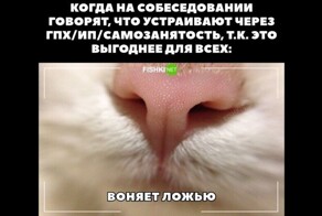 Не путайте коллег с друзьями, а начальника с заботливым родителем