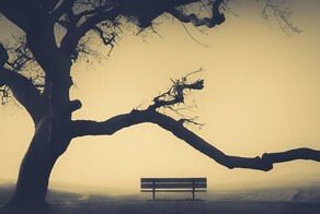 25 художественных снимков в эстетике минимализма