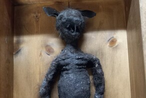 Сотрудники музея получили посылку со странной "мумией"