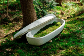 Саркофаги из грибов станут экологичной альтернативой деревянным гробам