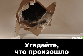 25 бедолаг, чей день явно не задался