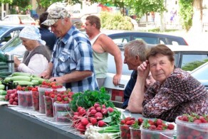 В Госдуме предупредили дачников о штрафах за продажу урожая