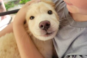 Люди, спасибо: 30 фото спасённых животных, которые согревают