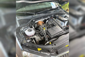 В подмосковном Чехове спасатели достали из-под капота машины таксу