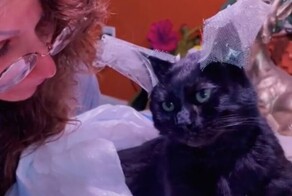 Женщина не захотела расставаться со своей погибшей кошкой