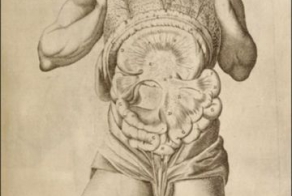 Азбука эмоций (18 фото)