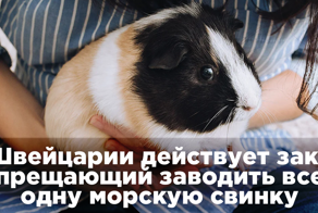 25 забавных и интересных фактов, которыми не стыдно поделиться с друзьями