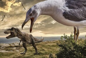 Почему динозавры вымерли, а птицы нет