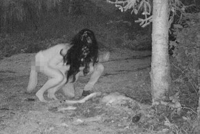 «Я не знаю, чёрт возьми, что это было»: в Канаде женщина случайно сняла, как две ведьмы пожирают труп оленя