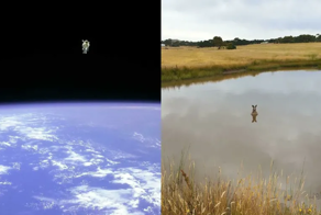 10+ обычных на первый взгляд фото, способных удивить