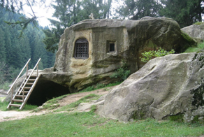 13 интересных изображений любопытных редкостей