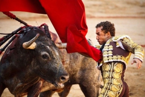 Фестиваль Сан Фермин 2012 (46 фото)