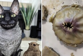 16  фотографий, которые как нельзя лучше продемонстрируют тёмную сторону природы