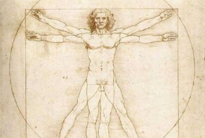 Органы человека, потерявшие первоначальные функции (6 фото)