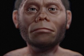 Учёные раскрыли, как выглядели древние "хоббиты"