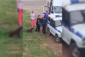 Пёс защищал пьяного хозяина от полицейских, которые грузили его в «бобик»