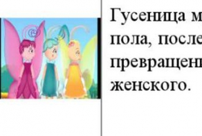 Интересное в мультфильмах (15 фото)