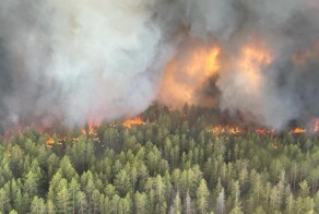 "У них не было даже защитных костюмов": в Казахстане горят леса и гибнут лесничие