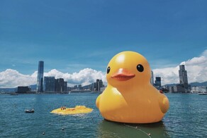 Гигантский желтый утенок в Гонконге сдулся на глазах у зрителей