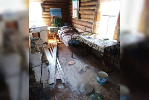 В Якутии медведь искал еду и устроил погром в избушке госинспектора