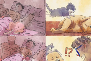 Художник показал, как изменилась его жизнь после появления в доме кота