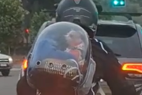 Маленькое концентрированное зло