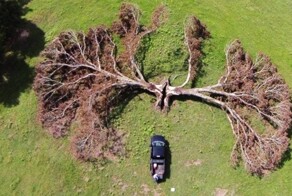 18 наглядных причин бояться удара молнии