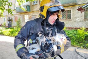 Надышавшуюся дымом кошку спасли из пожара в Йошкар-Оле