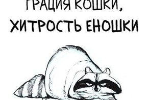 Подборка забавных комиксов о проблемах в жизни енота