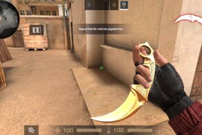 Приморский школьник украл 117 тысяч рублей у матери, чтобы купить скин ножа в игре Standoff 2