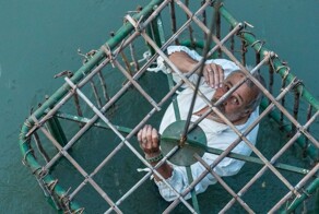 Итальянцы сажают политиков в клетки и бросают в воду — без паники, такова традиция