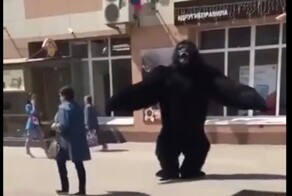В Калуге аниматор в костюме гориллы довёл женщину до сердечного приступа