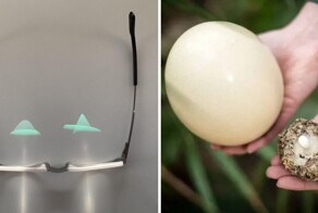 19 ярких сравнений, которые помогут понять, что наш мир полон неожиданных сюрпризов