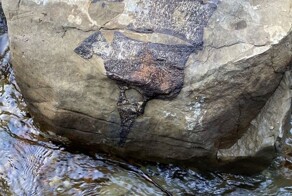 Мощный циклон обнажил окаменелости гигантских морских существ, живших 80 миллионов лет назад