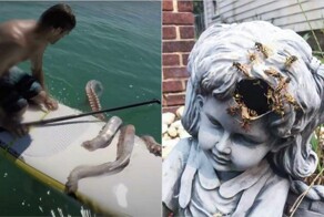 15 раз люди натолкнулись на кошмарные вещи, созданные матерью-природой