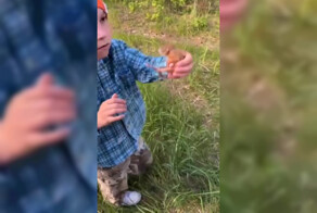 История воссоединения беличьей семьи попала на видео