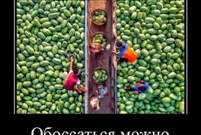 Летние демотиваторы