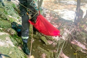 В Сочи спасли собаку, сорвавшуюся с водопада