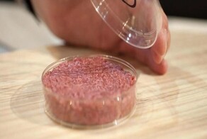 20 любопытных фактов, которые пополнят копилку знаний