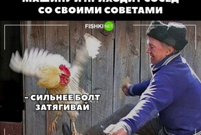 Подборка автоприколов на пятницу