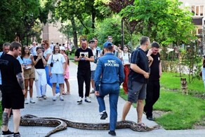 Житель Ростова вывел на прогулку питона